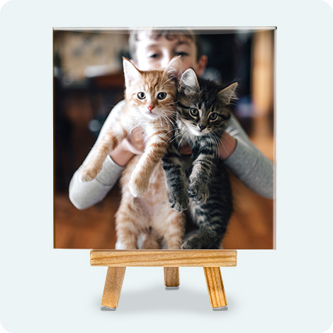 Foto Quadro con Cavalletto