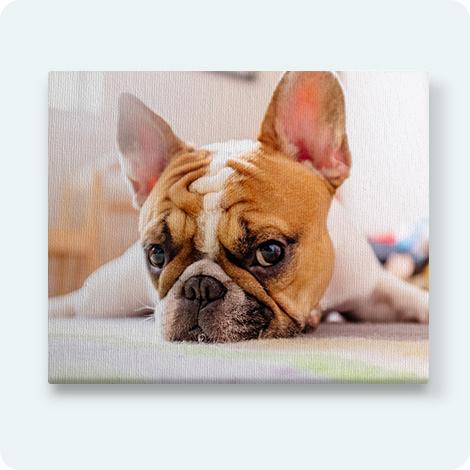 Photo sur Toiles Peronnalisées