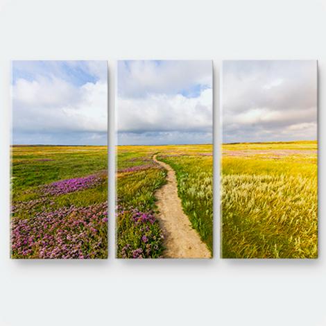 STAMPE SU TELA MULTIPANNELLO