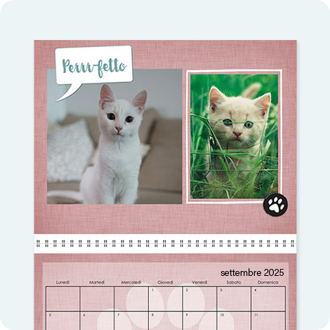 Calendario Animali