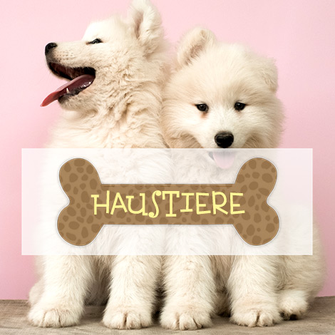 Haustiere