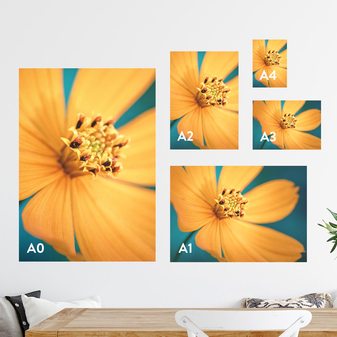 Poster Prints