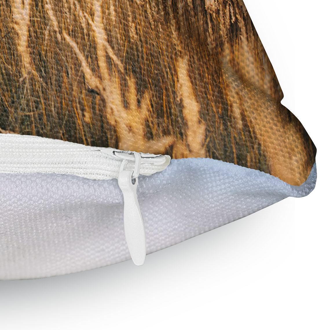 Cushions