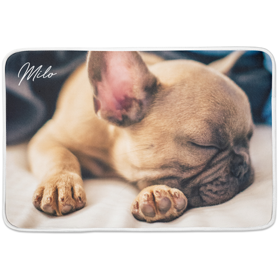 Pet Mat
