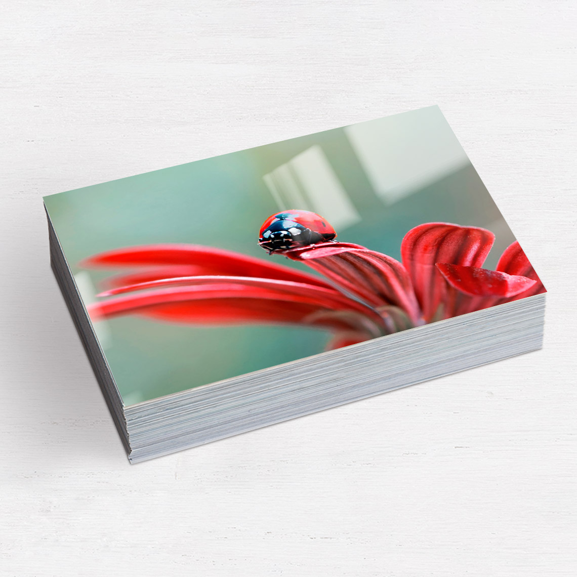 4x5.3" Prints (glossy)