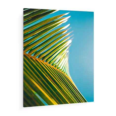 Icon Metal Prints