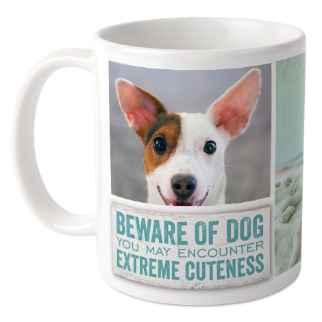 Pets Mug