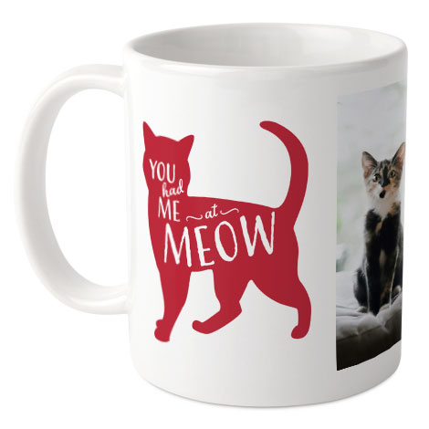 Pets Mug