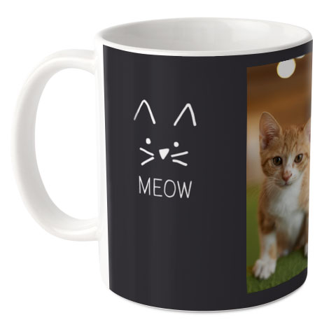 Pets Mug