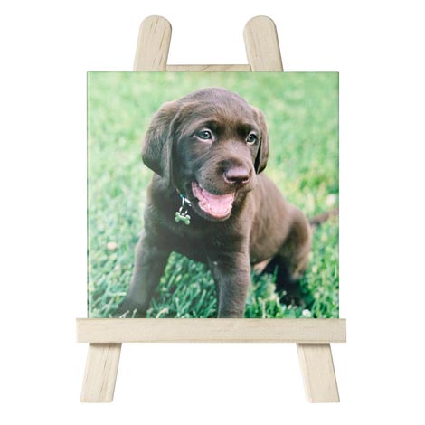 Ceramic Tile with Easel