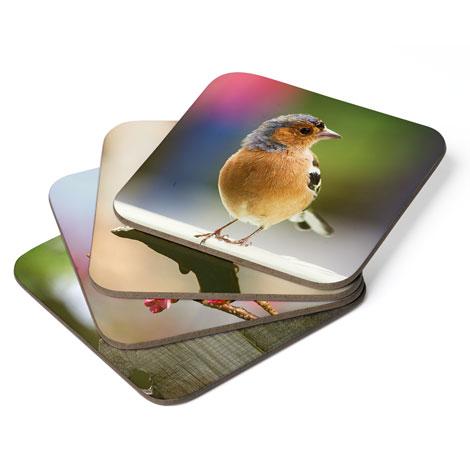 Icon Coaster - Set of 4