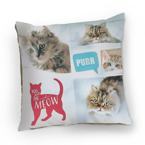 Pet + People Cushions