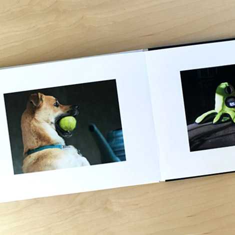 Pet Photo Book