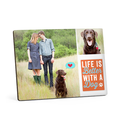 Photo Panels