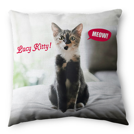 Custom Pet Pillow