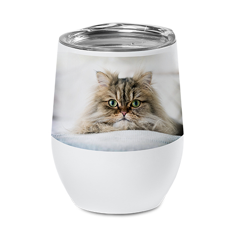 Insulated Stemless Wine Cup 