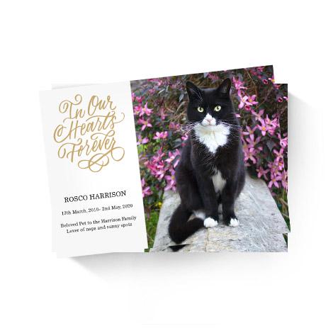  In Our Hearts Memorial Card