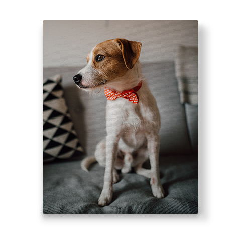 portrait canvas with image of a pet dog