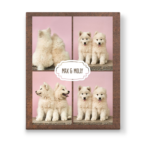 brown collage canvas with four images of two dogs 