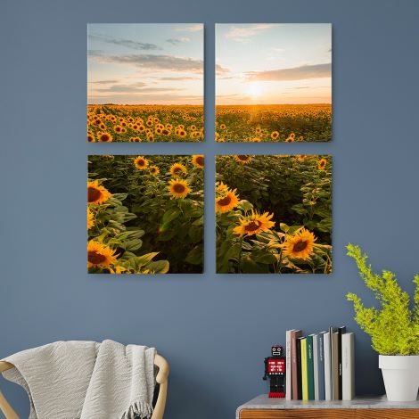 4 canvas prints with sunflowers 