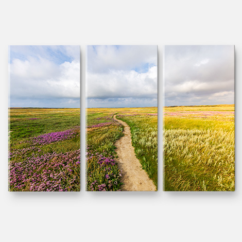 canvas