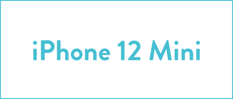 iPhone 12 Mini Phone Case