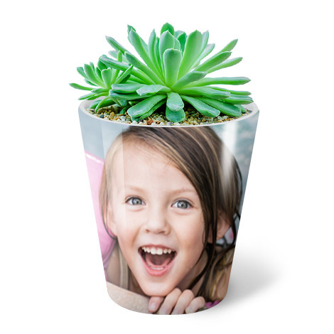 Plant pot