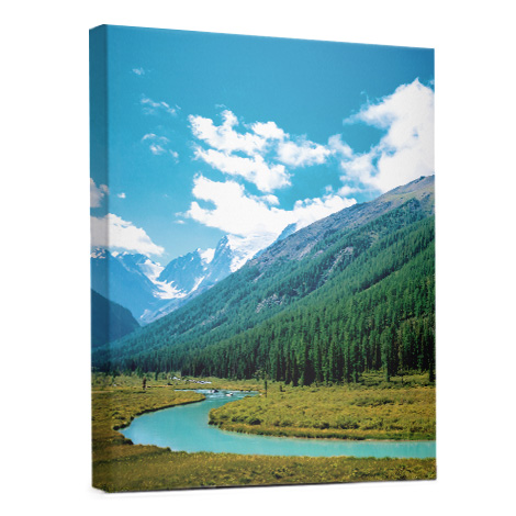 Portrait 12x16" Slim Photo Canvas Print