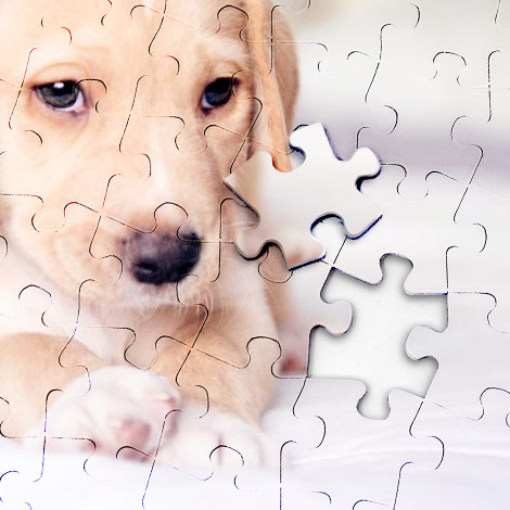 Photo jigsaw puzzles