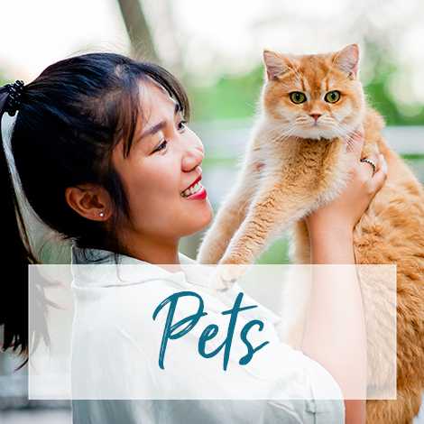 Image of pet and owner