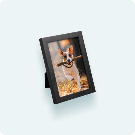 Framed Tabletop Prints