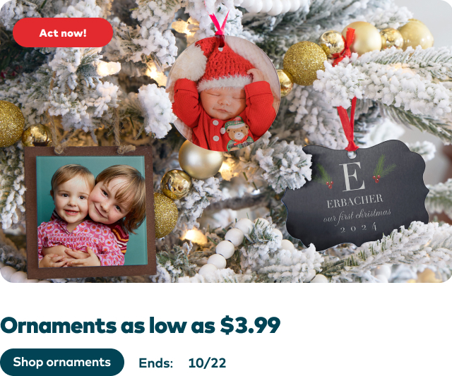 Ornaments as low as $3.99