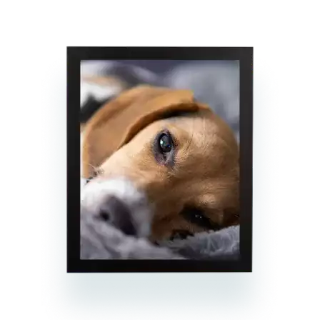 Custom Poster Print 12x16 Personalized Photo Prints Printed On Canvas Customized Posters For Walls Decor Art Personalized Photo Printing Service For Birthday Baby Family Wedding Pets Dogs Cats