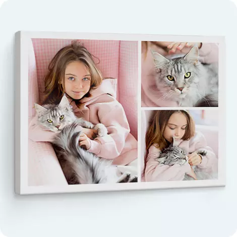 Collage Canvas