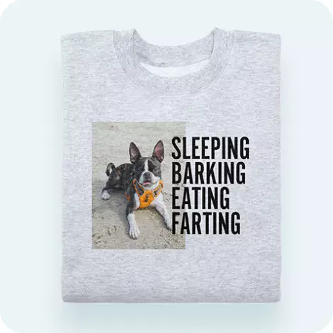 Adult Crewneck Sweatshirt