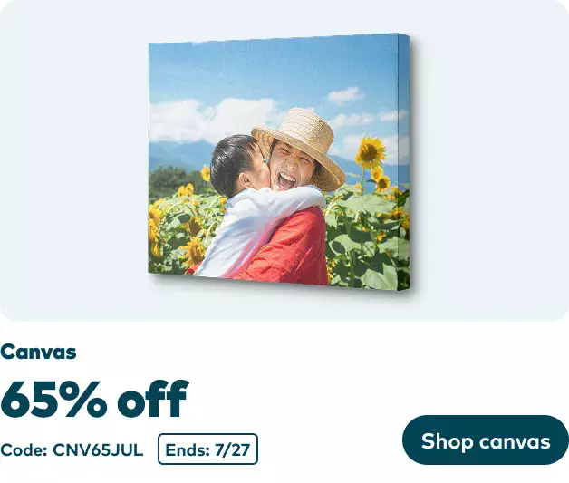 65% off Canvas