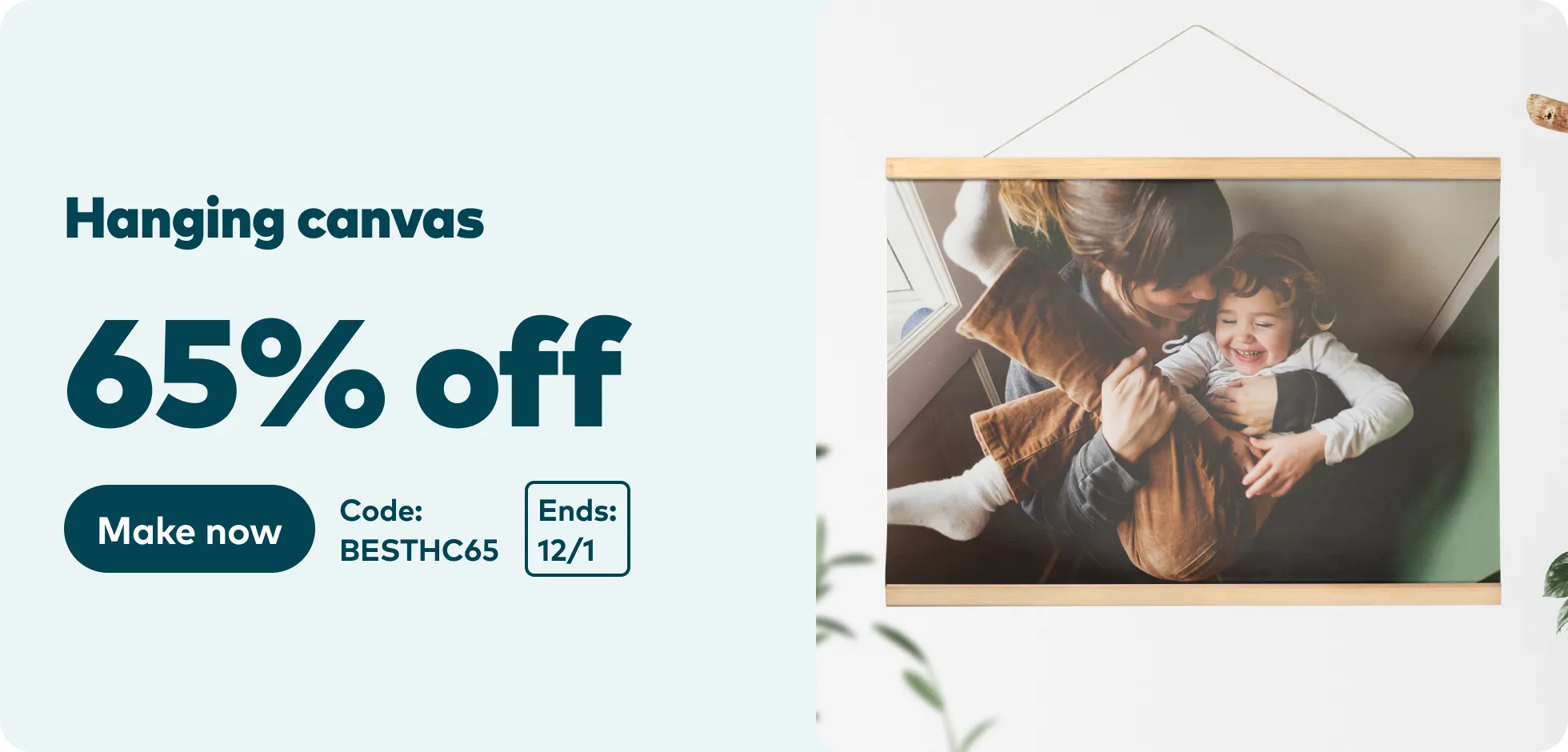 65% off Hanging Canvas. Code BESTHC65