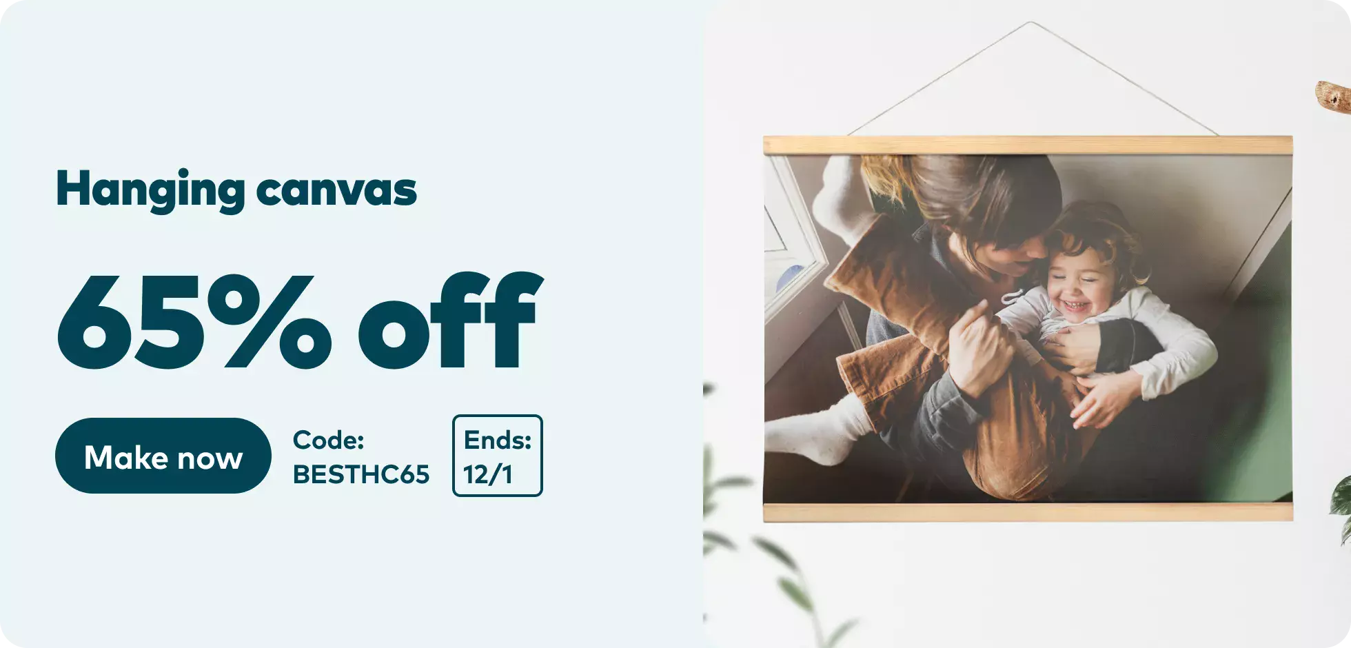 65% off Hanging Canvas. Code BESTHC65