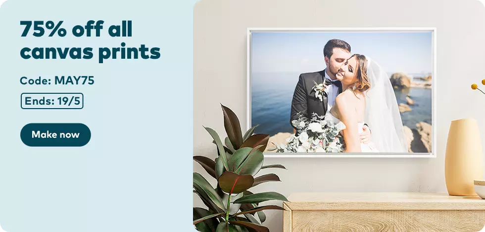 75% off all Canvas Prints