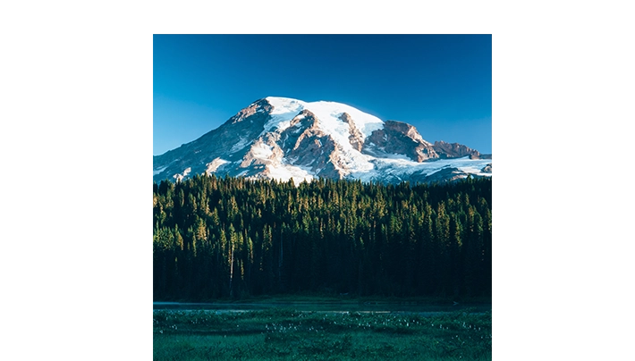 Large Prints Image