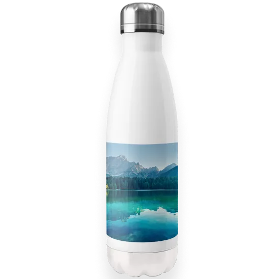 Stainless Steel Water Bottle