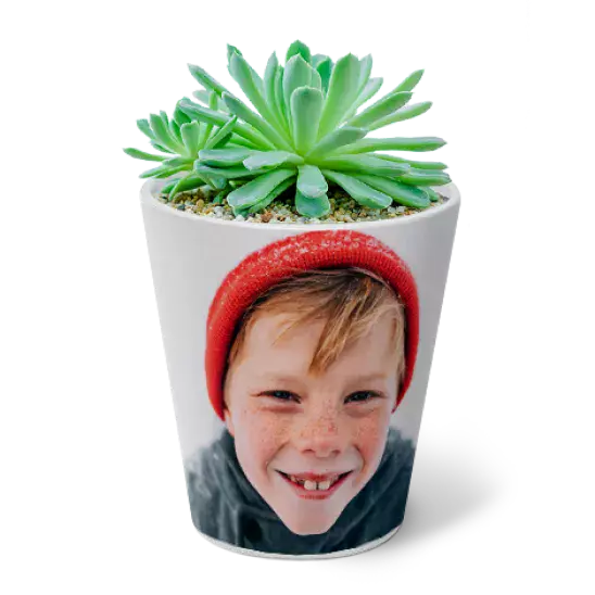 Pots de fleurs