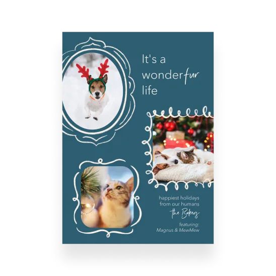 Pet christmas cards