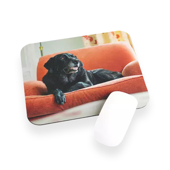 Tappetini mouse