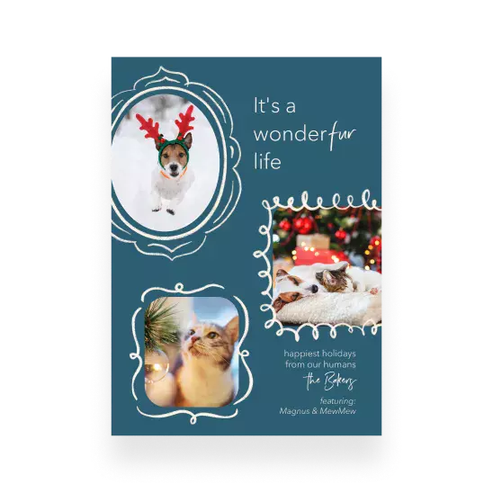 Pet christmas cards
