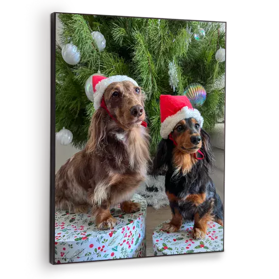 16x20 Wall Photo Panel