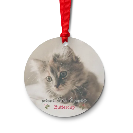 Frosted acrylic ornament