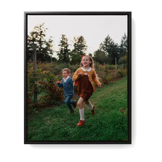 Framed canvas print
