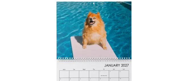 Calendari da parete da 7,99 &euro;
