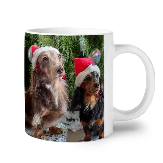 20oz mug
